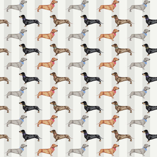 Dachshund Stripe Wallpaper - Natural - The Graduate Collection - AB1DACNATURAL - Premier Wallcovering