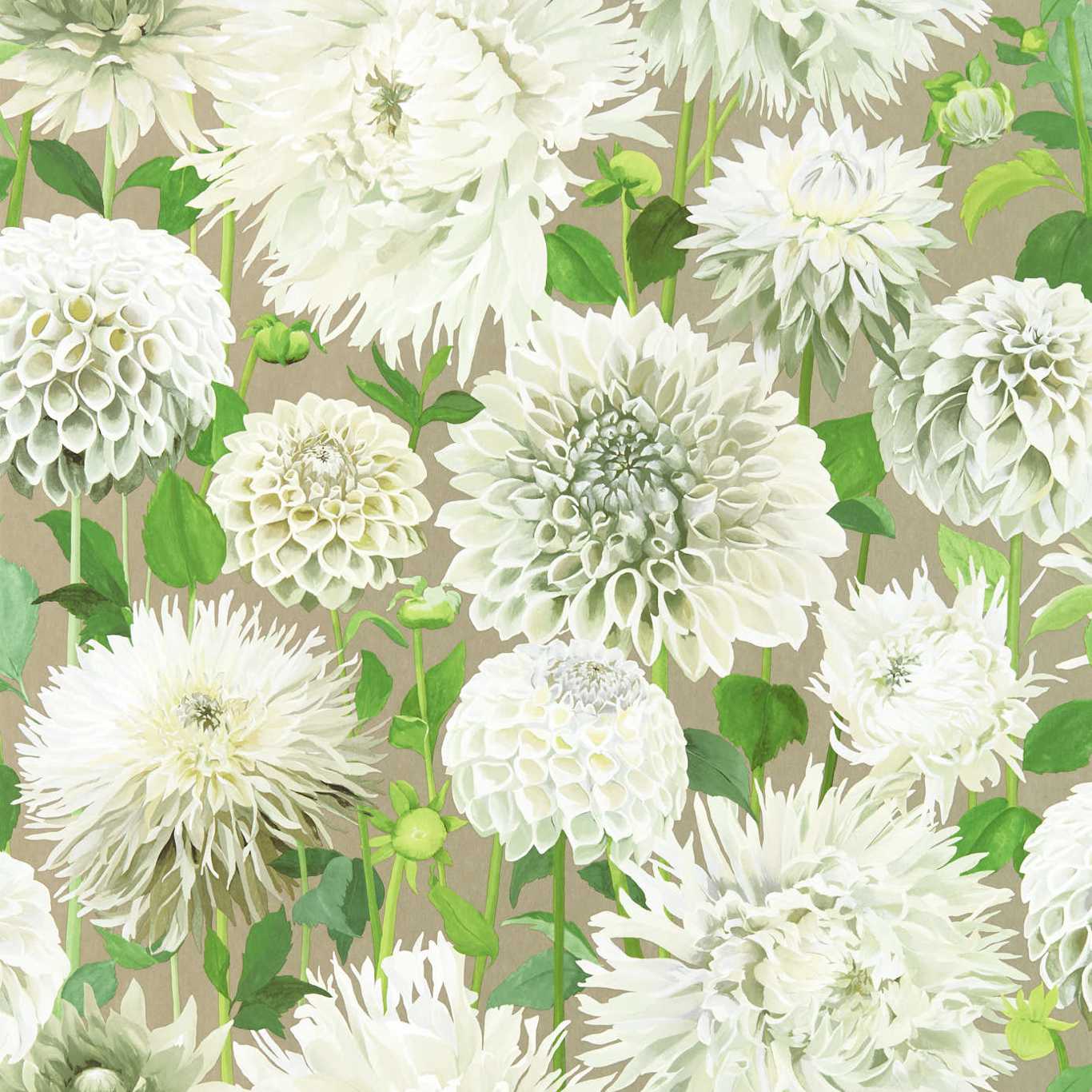 Dahlia Wallpaper - Sail Cloth/Meadow/Gilver - HQN2112844 - Harlequin - Premier Wallcovering