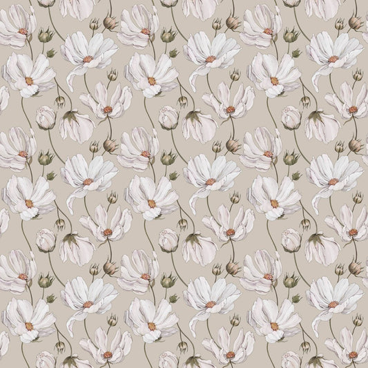 Daisies Wallpaper - Beige - Summer Gray - Premier Wallcovering
