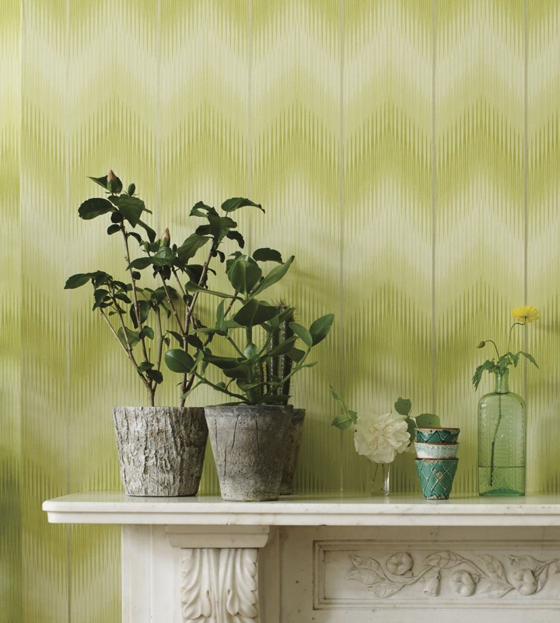 Danzon Wallpaper - Lime - Matthew Williamson - W6802-01 - Premier Wallcovering