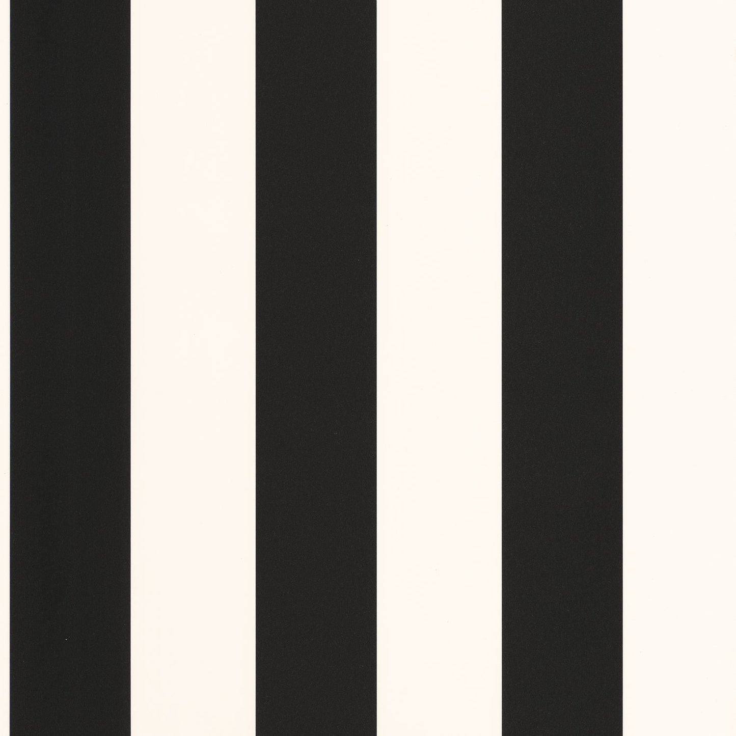 Day And Night Wallpaper - Noir - Caselio - 101189001 - Premier Wallcovering