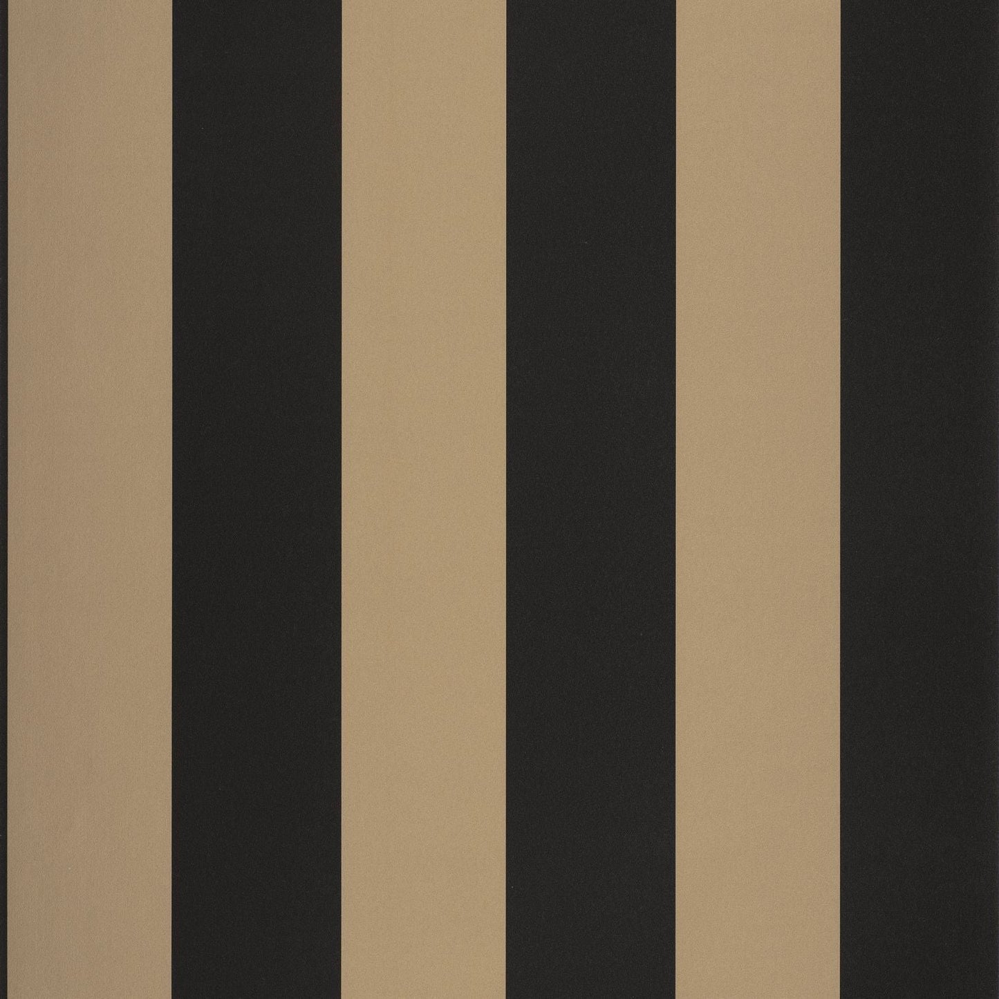 Day And Night Wallpaper - Noir - Caselio - 101199025 - Premier Wallcovering