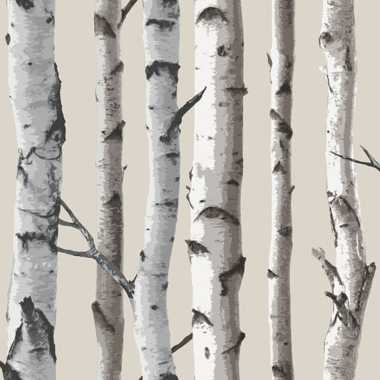 Distinctive Birch Tree Wallpaper - Natural - Fine Décor - FD31051 - Premier Wallcovering
