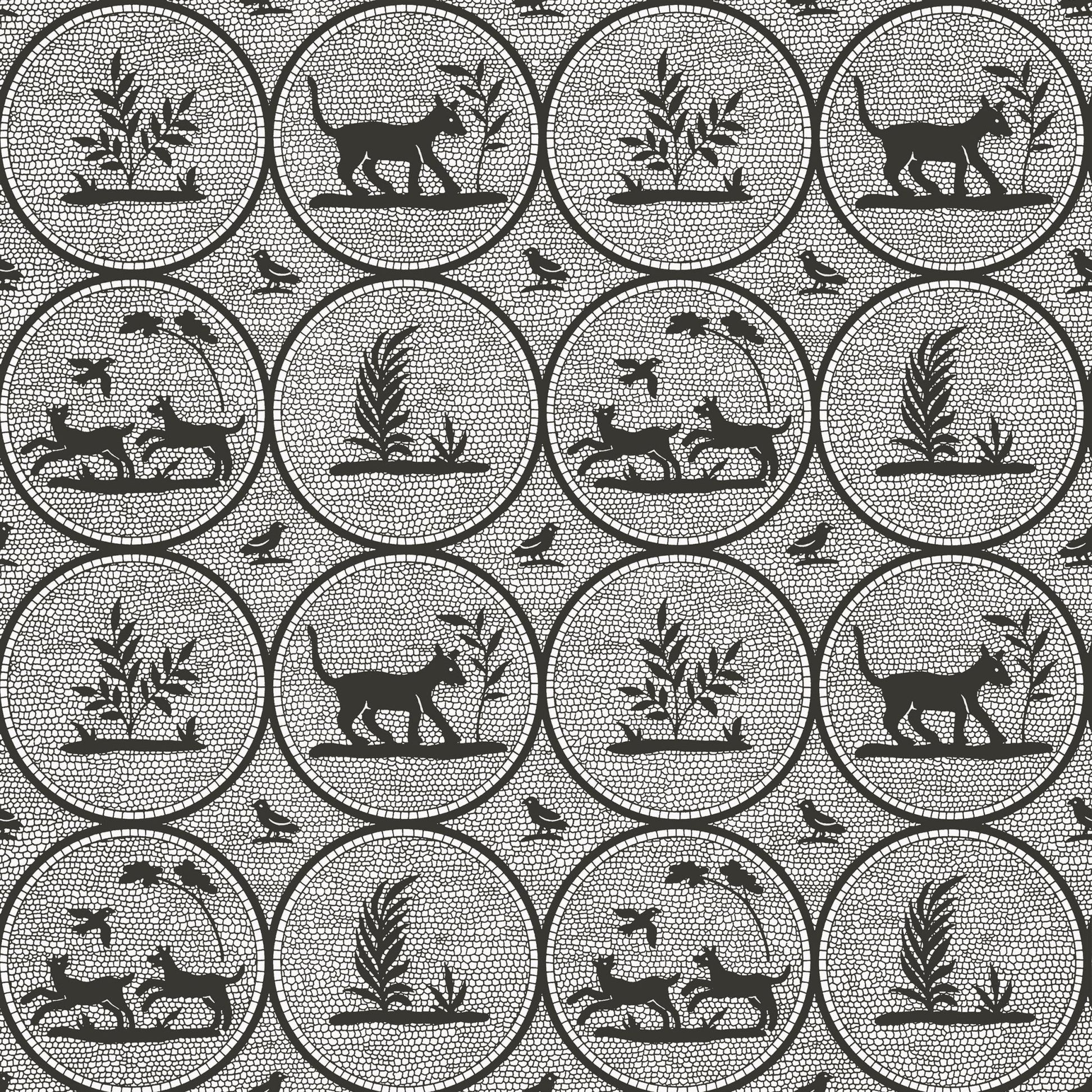 Dooley Wallpaper - Black - Thibaut - T14347 - Premier Wallcovering
