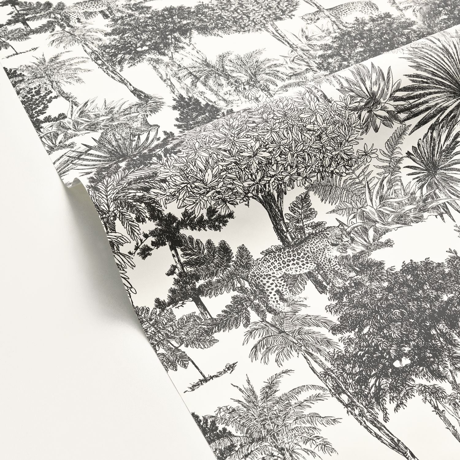 Dream Forest Wallpaper - Blanc Noir - Caselio - 104280974 - Premier Wallcovering