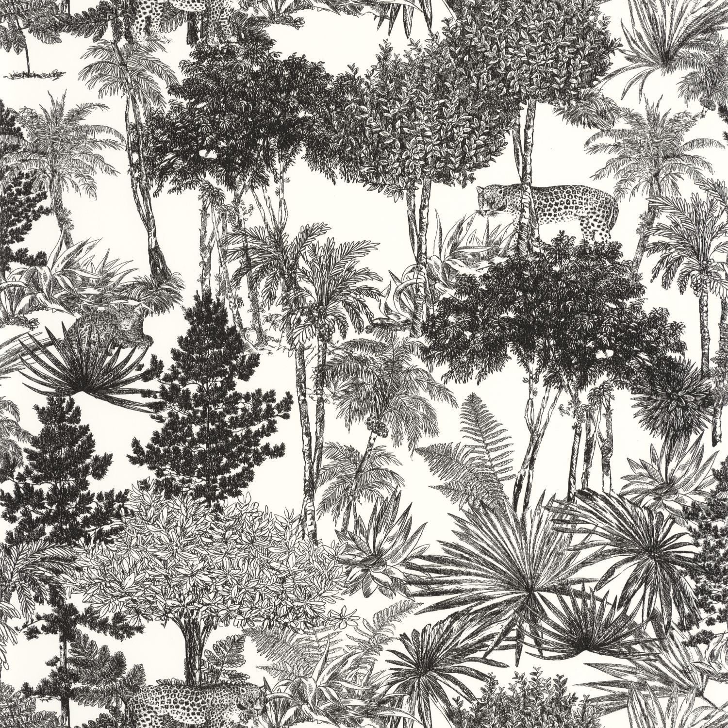 Dream Forest Wallpaper - Blanc Noir - Caselio - 104280974 - Premier Wallcovering