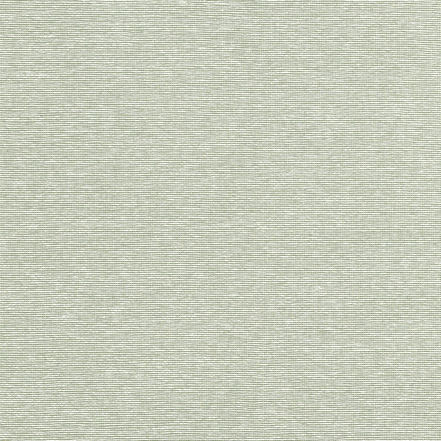 Edward's Paper Wallpaper - Green - Thibaut - T19703 - Premier Wallcovering
