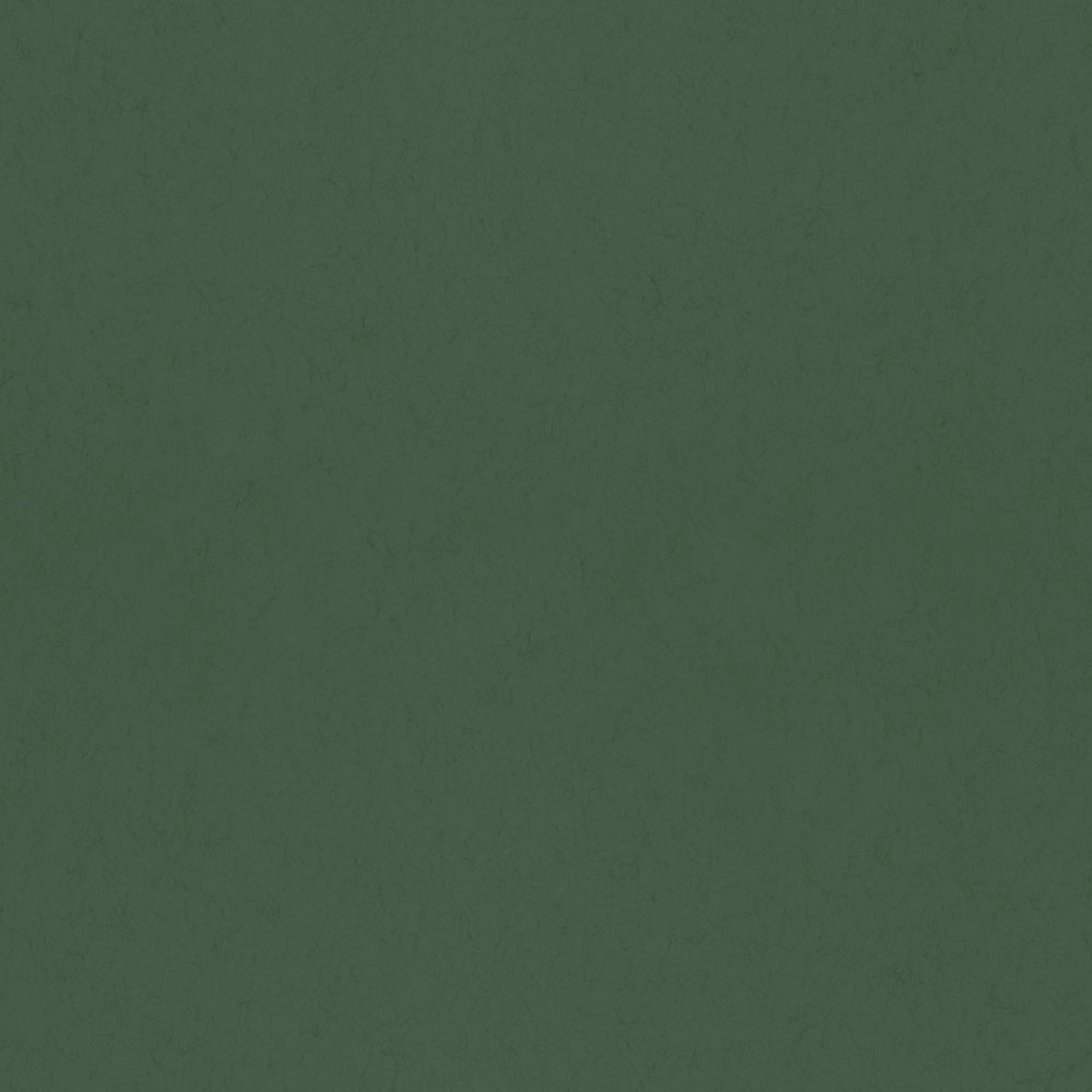 Eklöv Wallpaper - Green - Midbec - 77001 - Premier Wallcovering