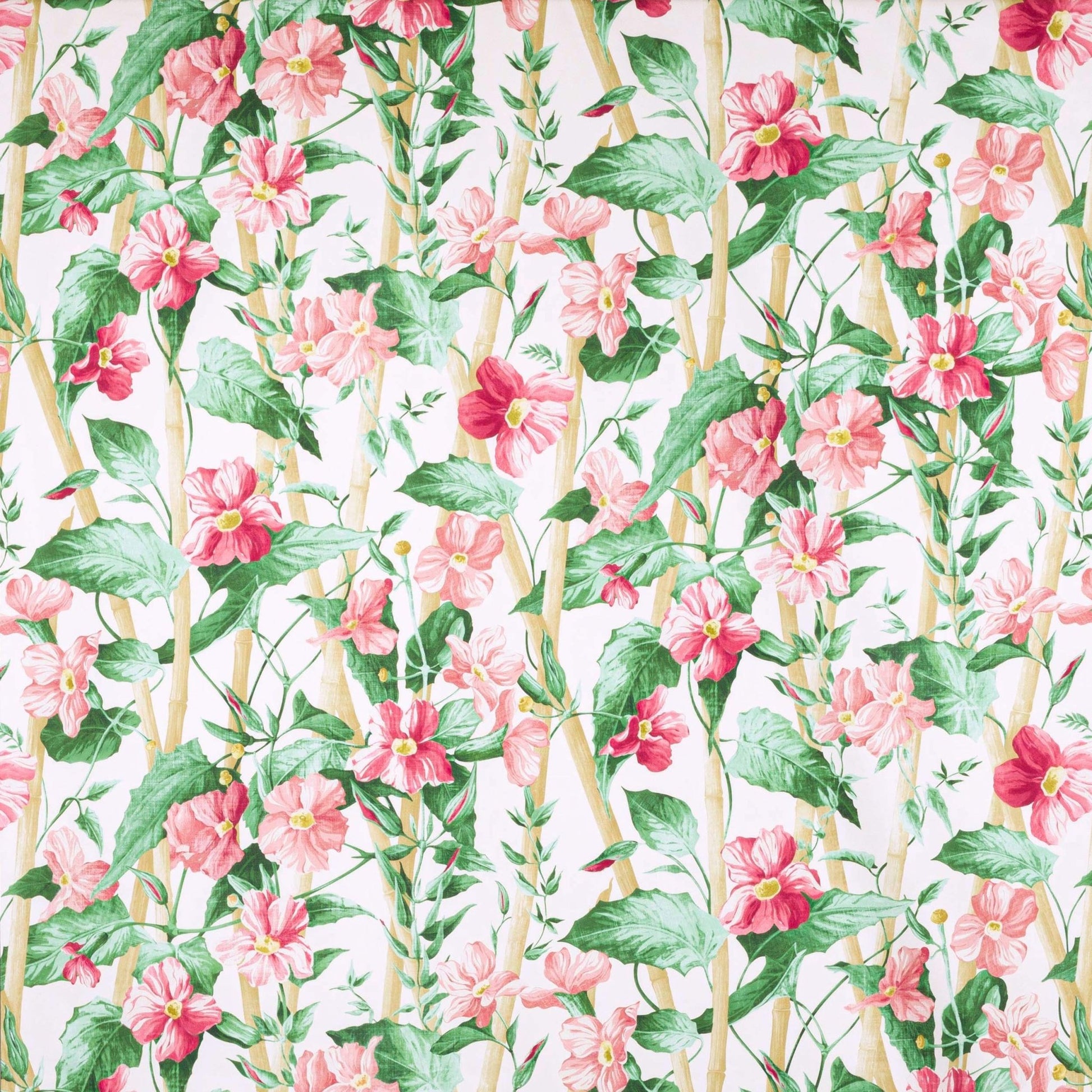 Elena Fabric - Peche - Manuel Canovas - M4104-01 - Premier Wallcovering