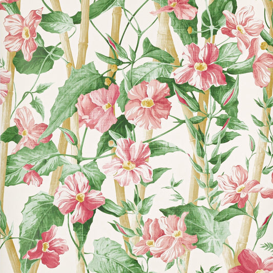 Elena Wallpaper - Peche - Manuel Canovas - 03114-01 - Premier Wallcovering