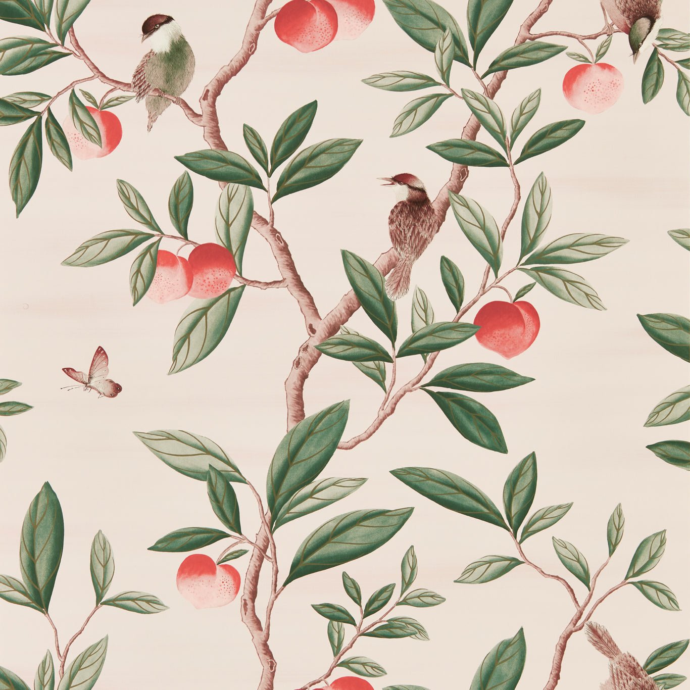 Ella Wallpaper - Powder/ Sage / Peach - HDHW112907 - Harlequin - Premier Wallcovering