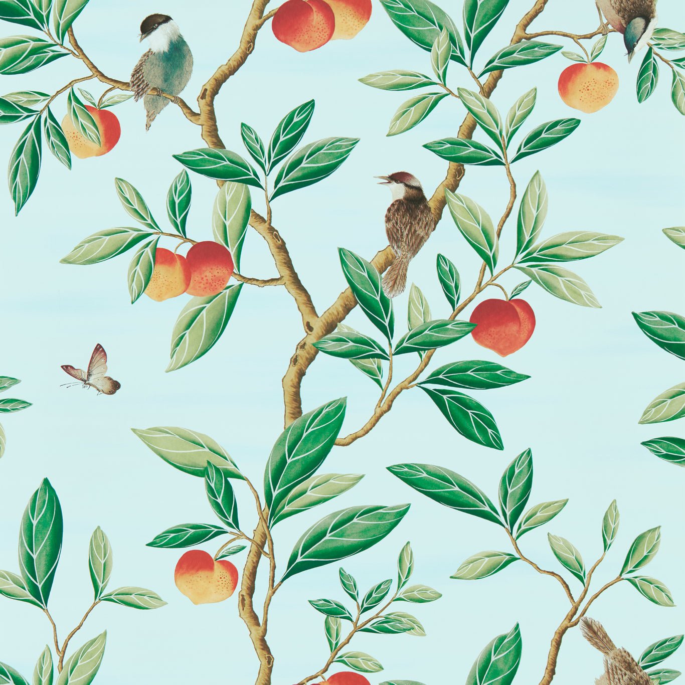 Ella Wallpaper - Sky/Fig Leaf/ Nectarine - HDHW112908 - Harlequin - Premier Wallcovering