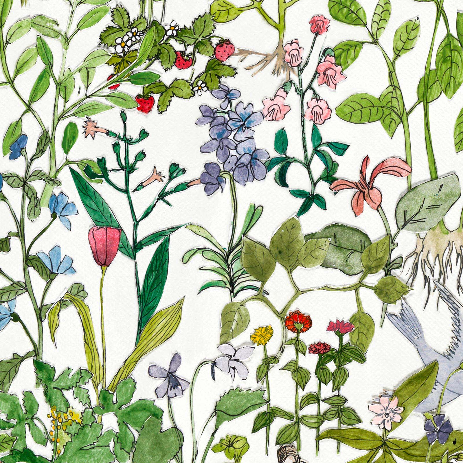 Enchanted Garden Wall Mural - Multicolored - NLXL - ASU - 01 - Premier Wallcovering