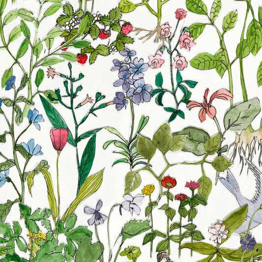 Enchanted Garden Wall Mural - Multicolored - NLXL - ASU - 01 - Premier Wallcovering