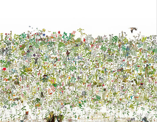 Enchanted Garden Wall Mural - Multicolored - NLXL - ASU - 01 - Premier Wallcovering