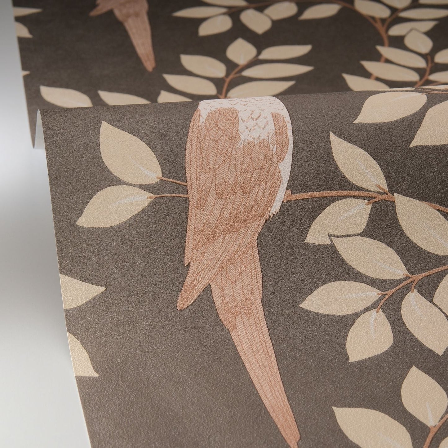 Equateur Wallpaper - Noir Sepia - Caselio - 106529023 - Premier Wallcovering