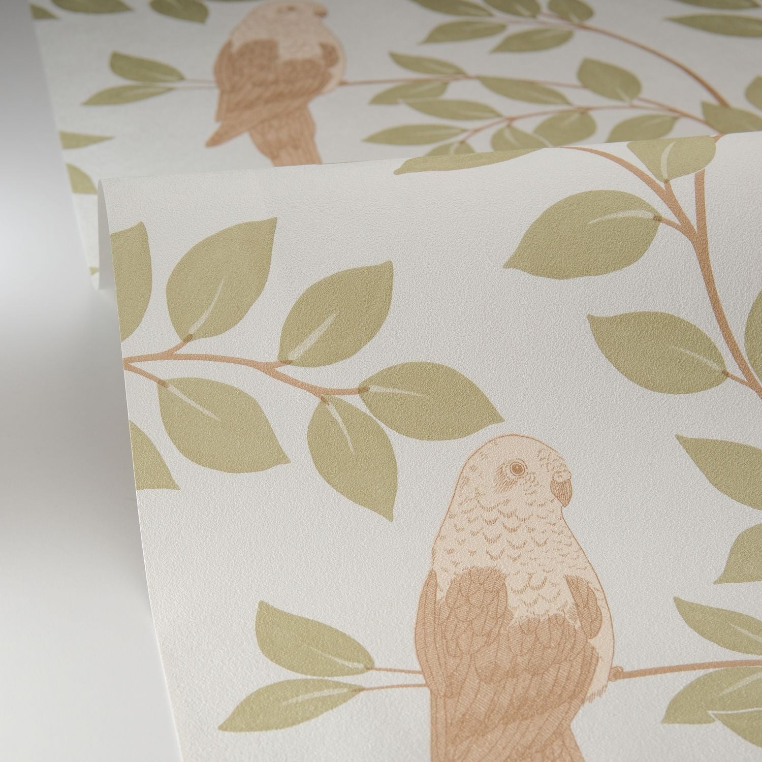 Equateur Wallpaper - Amande - Caselio - 106527070 - Premier Wallcovering