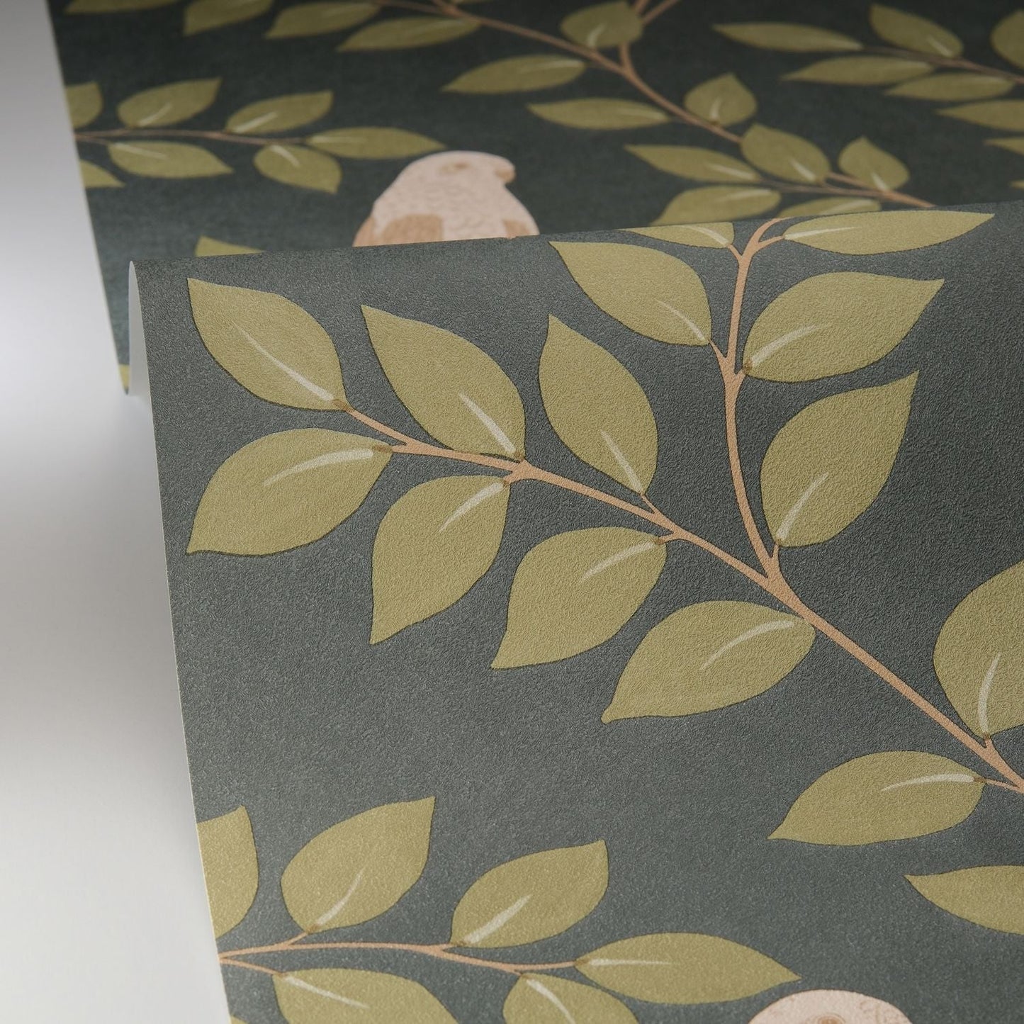 Equateur Wallpaper - Vert Sapin - Caselio - 106527254 - Premier Wallcovering