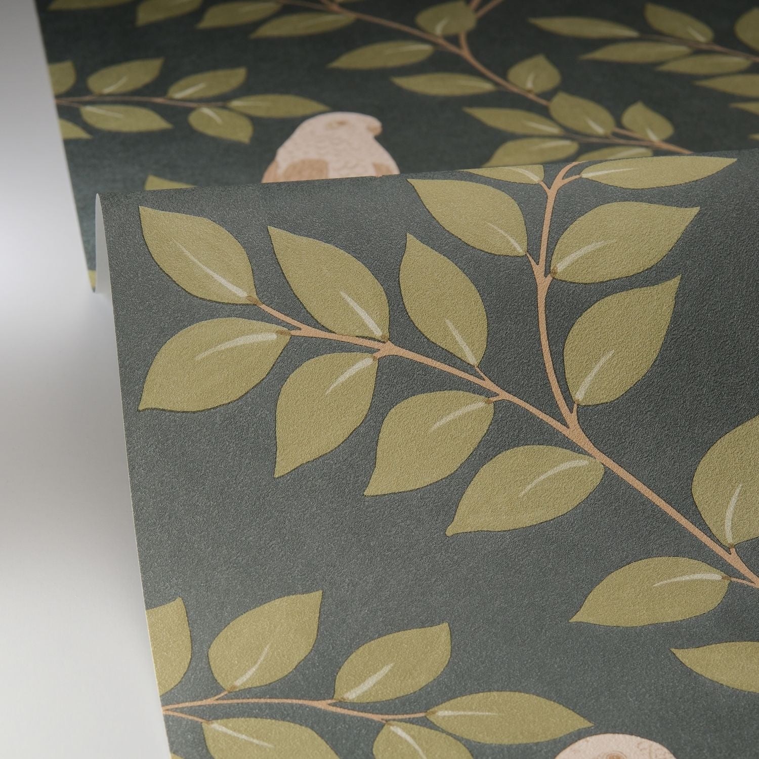 Equateur Wallpaper - Vert Sapin - Caselio - 106527254 - Premier Wallcovering