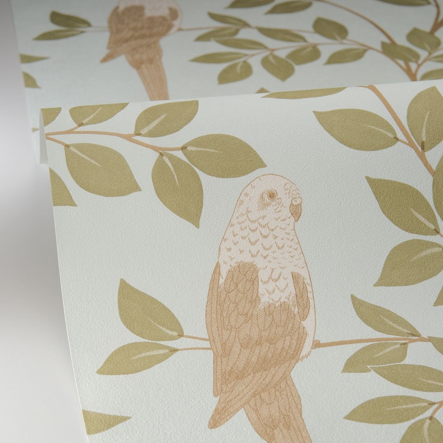 Equateur Wallpaper - Kaki Bleu - Caselio - 106527162 - Premier Wallcovering