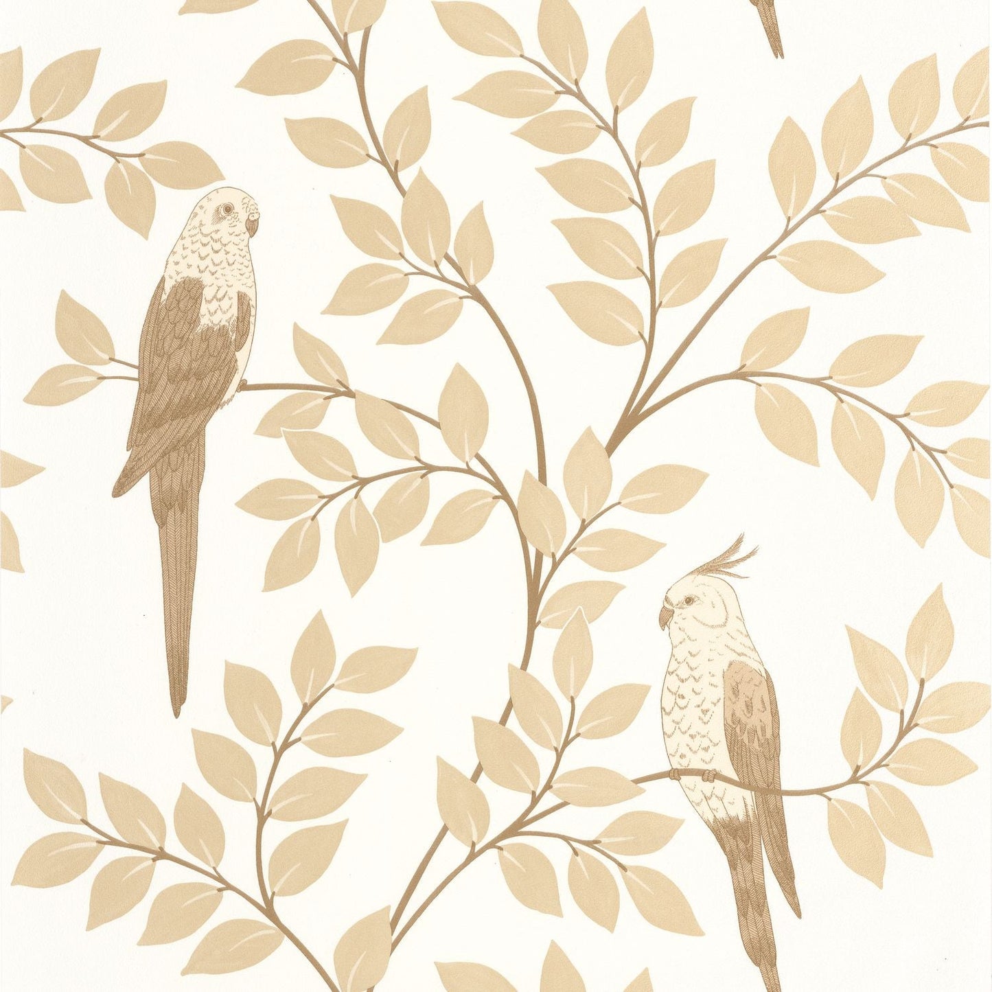 Equateur Wallpaper - Beige - Caselio - 106521000 - Premier Wallcovering