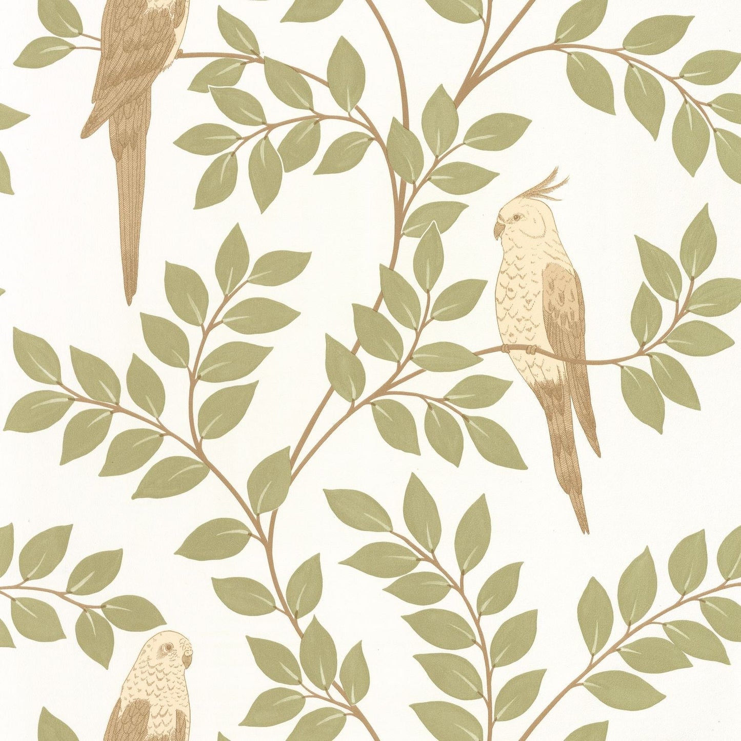 Equateur Wallpaper - Amande - Caselio - 106527070 - Premier Wallcovering