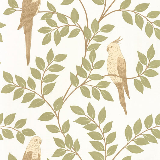 Equateur Wallpaper - Amande - Caselio - 106527070 - Premier Wallcovering