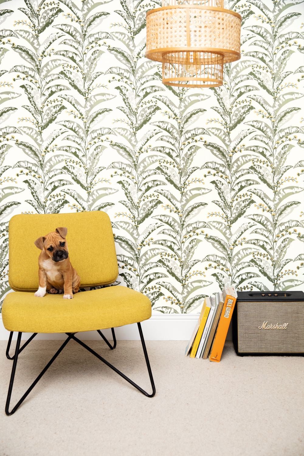 Escapade Epopee Wallpaper -  Kaki - Caselio - 102337735 - Premier Wallcovering