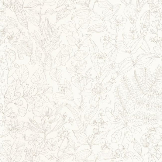 Esquisse Gardens Wallpaper - Beige Lin - Casadeco - 87591056 - Premier Wallcovering