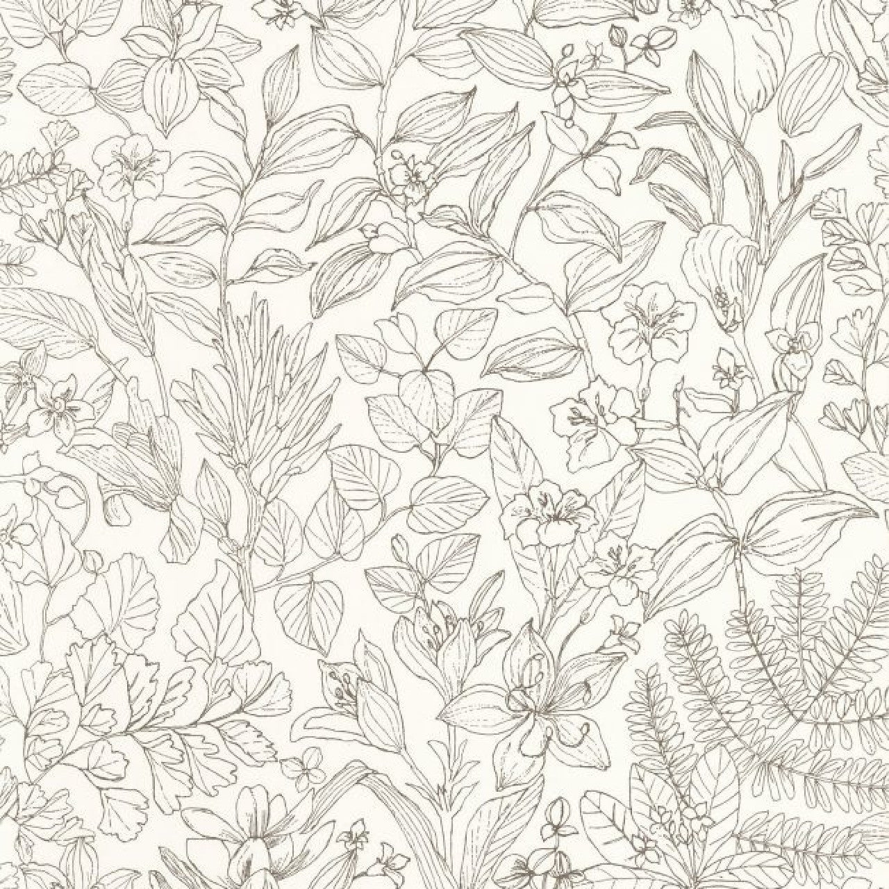 Esquisse Gardens Wallpaper - Noir Gravure - Casadeco - 87599267 - Premier Wallcovering