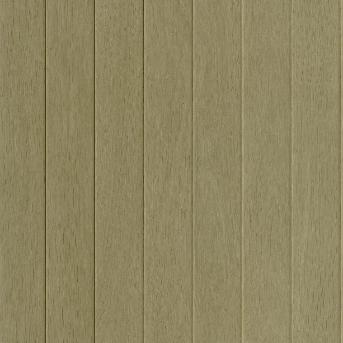 Essentia Wallpaper - Vert - Caselio - 106857077 - Premier Wallcovering