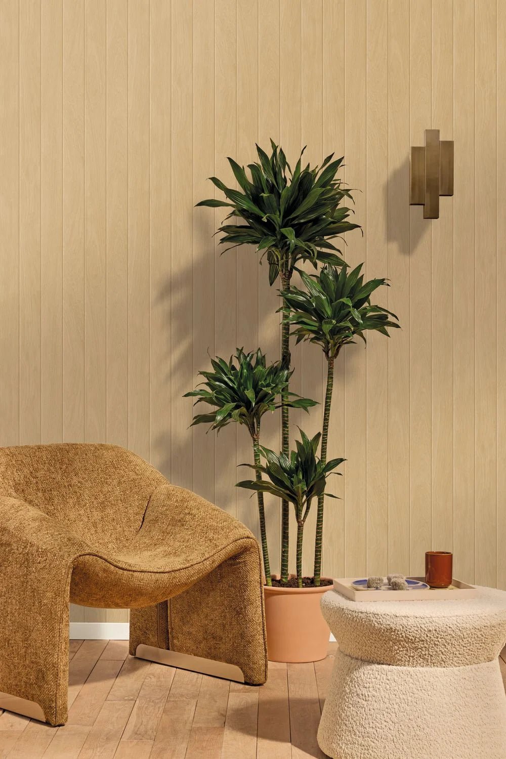 Essentia Wallpaper - Beige - Caselio - 106851002 - Premier Wallcovering