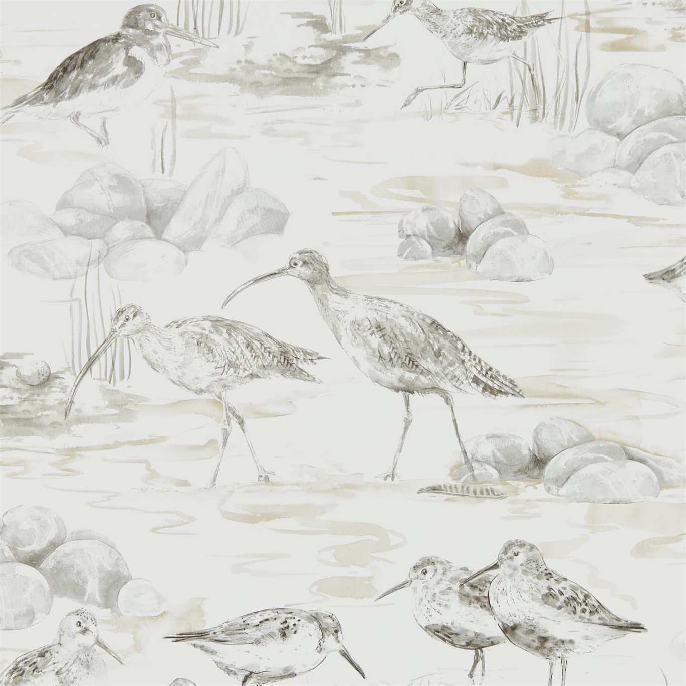 Estuary Birds Wallpaper - Chalk/Sepia - Sanderson - DEBB216493 - Premier Wallcovering