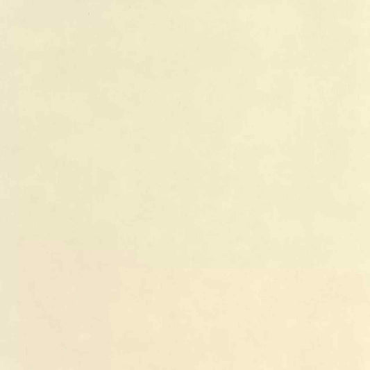 Etamine Wallpaper - Beige Sable - Casadeco - 200251303 - Premier Wallcovering