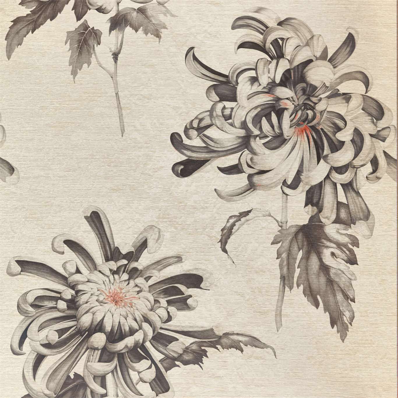 Evelyn Wallpaper - Koi/Vine Black - ZTOT312734 - Zoffany - Premier Wallcovering