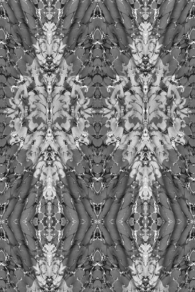Ex Libris Velvet Fabric - Grey - Timorous Beasties - DIGI/EXLIB/40008/01 - Premier Wallcovering
