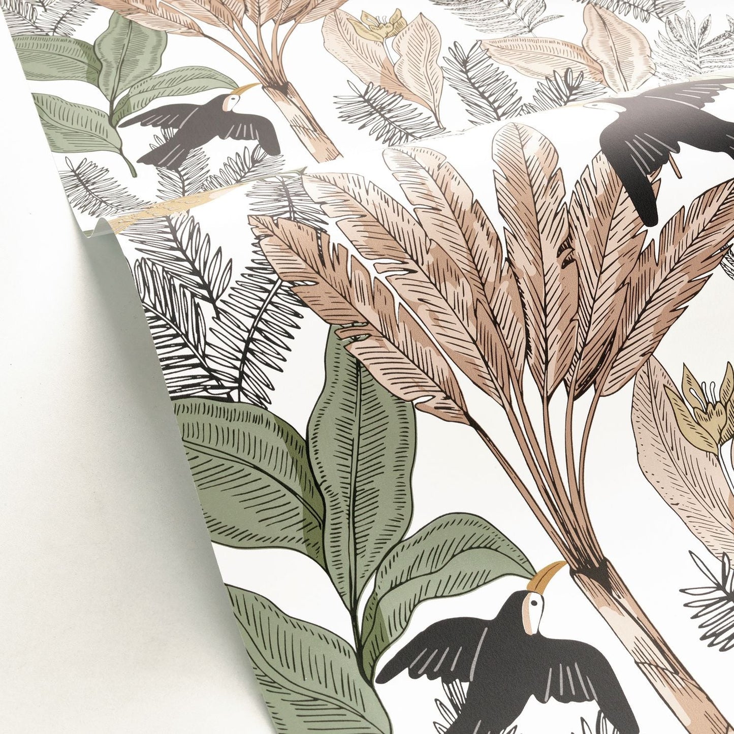 Explorer Wallpaper - Kaki - Caselio - 103497308 - Premier Wallcovering