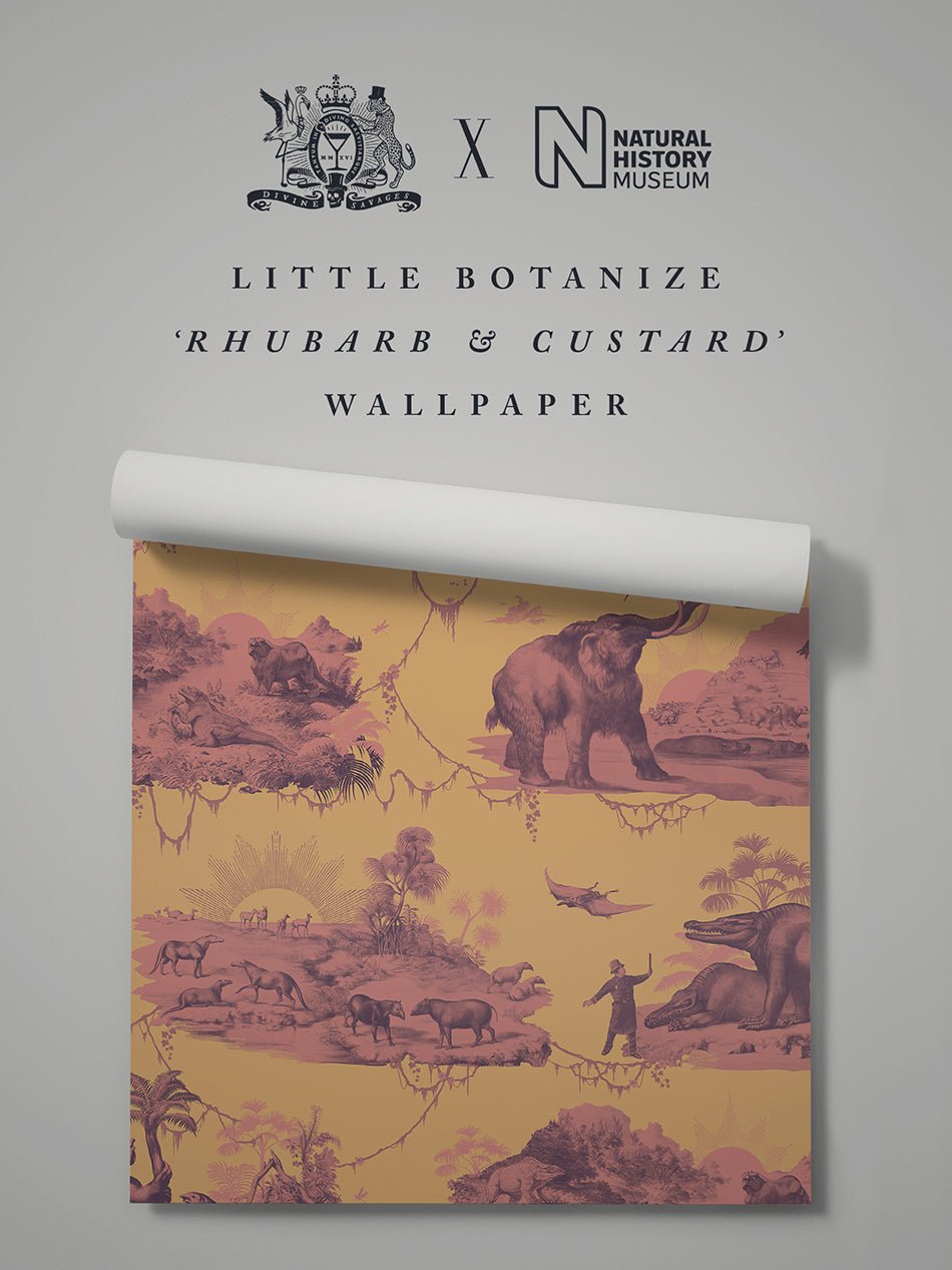 Extinctopia Wallpaper - Rhubarb & Custard - Divine Savages - DVS141-EXT-RCUS-WR - Premier Wallcovering