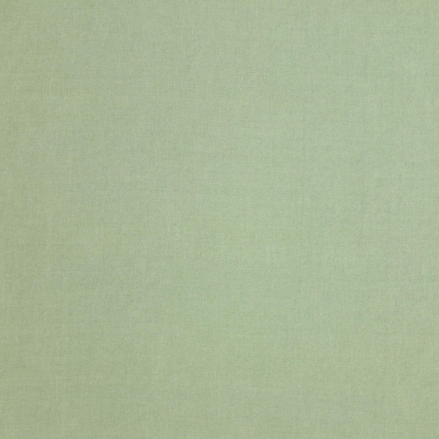 Fabry Fabric - Lichen - Manuel Canovas - 04985/13 - Premier Wallcovering