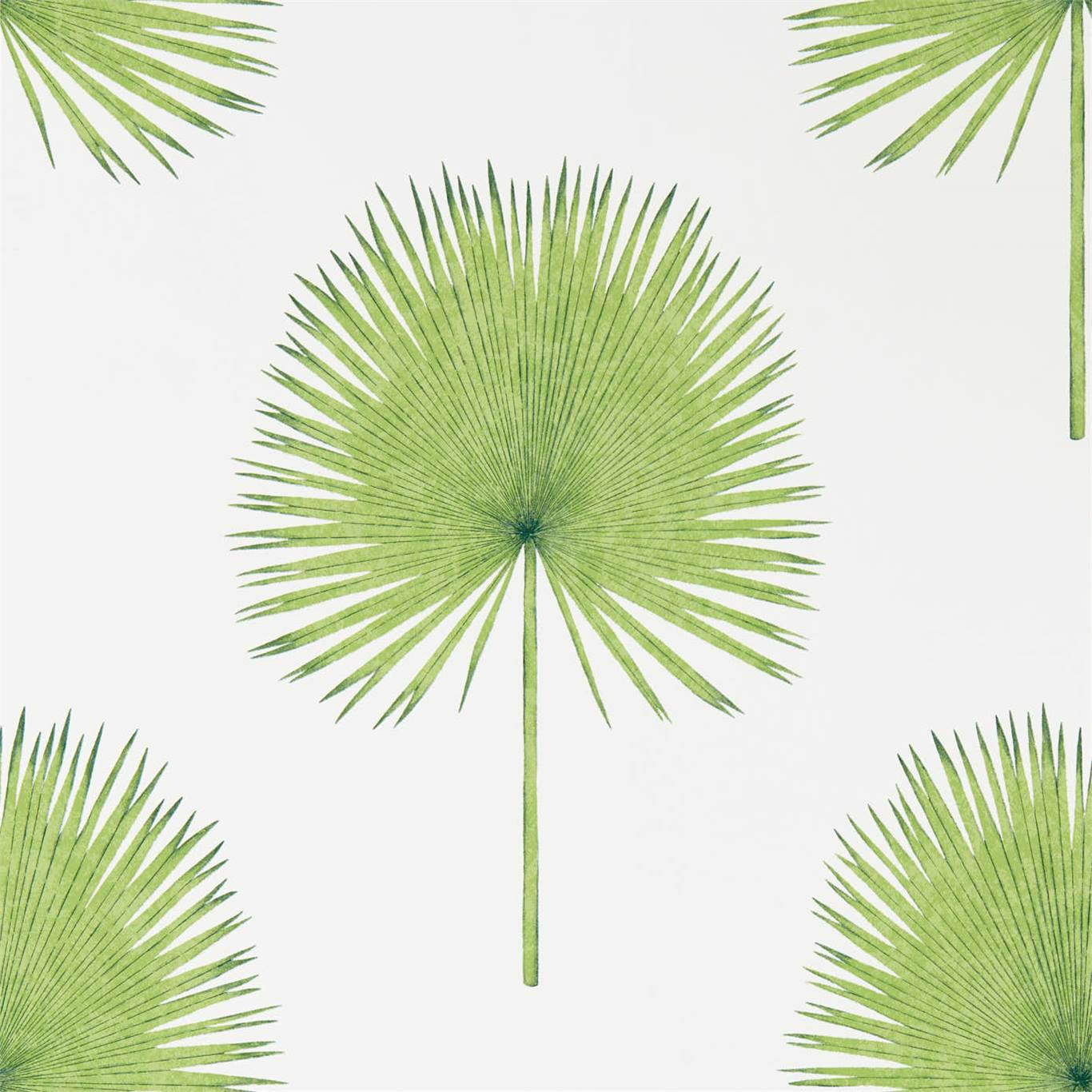 Fan Palm Wallpaper - Botanical Green - Sanderson - DGLW216636 - Premier Wallcovering