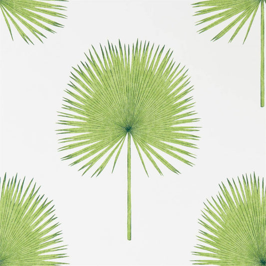 Fan Palm Wallpaper - Botanical Green - Sanderson - DGLW216636 - Premier Wallcovering