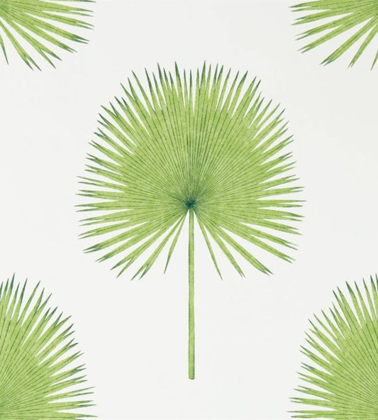 Fan Palm Wallpaper - Botanical Green - DGLW216636 - Sanderson - Premier Wallcovering
