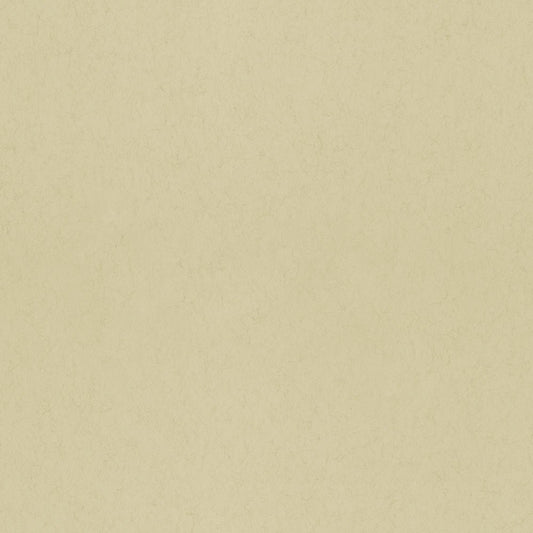 Fänkål Wallpaper - Yellow - Midbec - 77010 - Premier Wallcovering