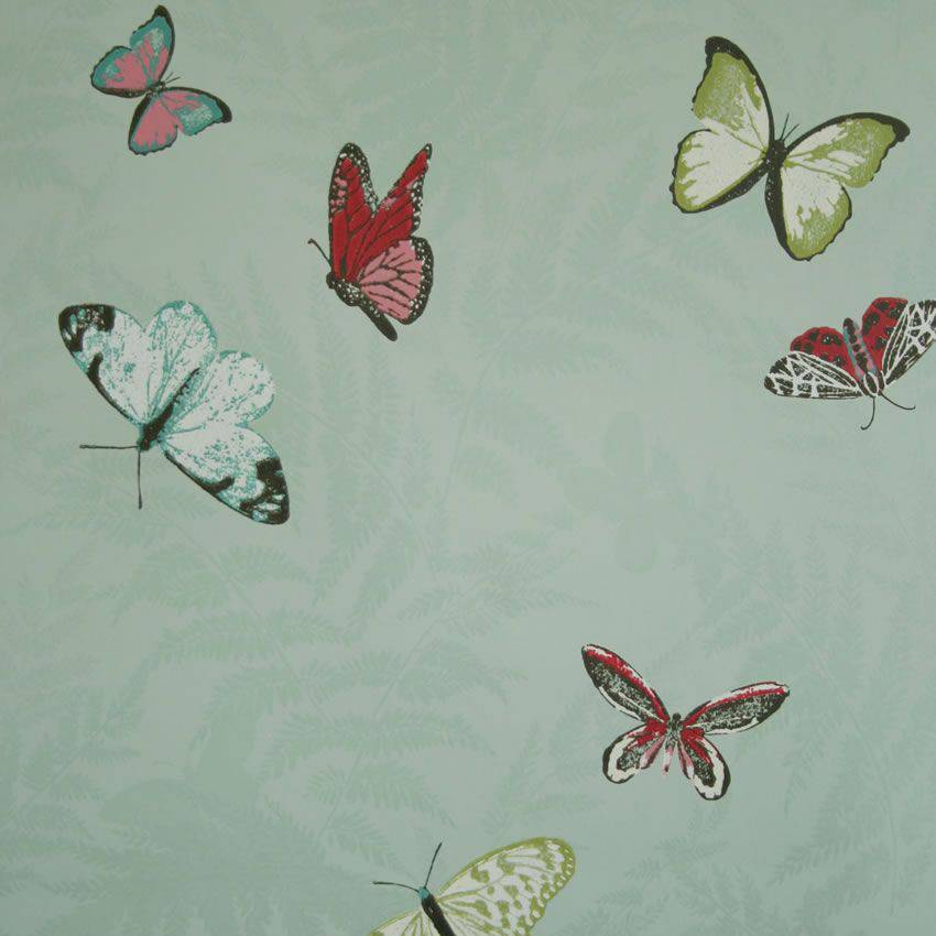 Farfalla Wallpaper - Grey - Nina Campbell - NCW4010-02 - Premier Wallcovering