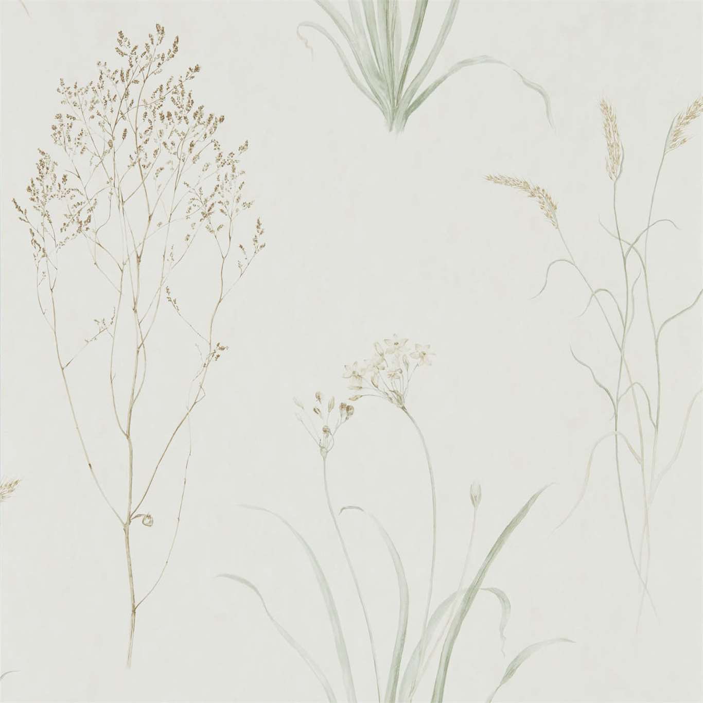 Farne Grasses Wallpaper - Willow/Pebble - Sanderson - DEBB216488 - Premier Wallcovering