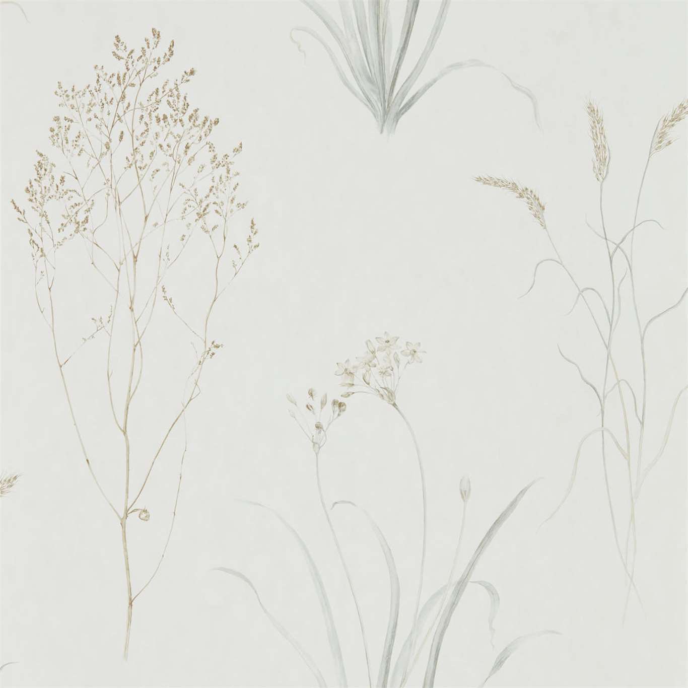 Farne Grasses Wallpaper - Silver/Ivory - Sanderson - DEBB216487 - Premier Wallcovering