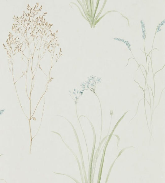 Farne Grasses Wallpaper - Cream/Sage - DEBB216486 - Sanderson - Premier Wallcovering