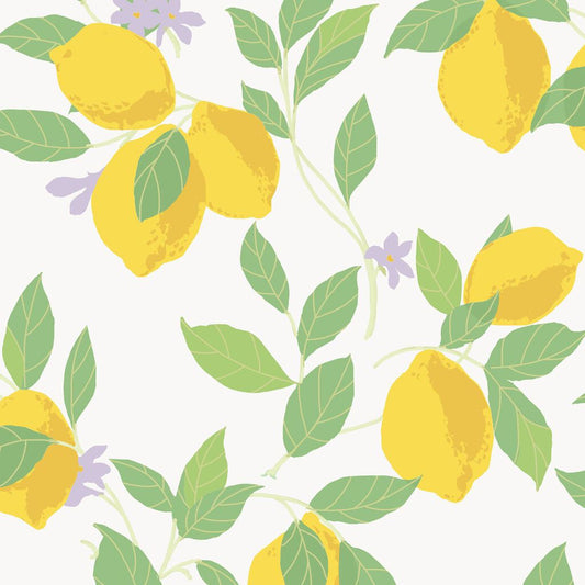 Feeling Fruity Wallpaper - Fresh - Envy - 118619 - Premier Wallcovering