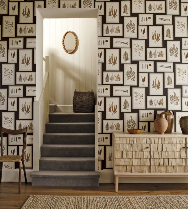 Fern Gallery Wallpaper - Charcoal/Spice - DWOW215713 - Sanderson - Premier Wallcovering