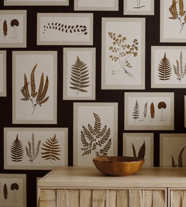 Fern Gallery Wallpaper - Charcoal/Spice - DWOW215713 - Sanderson - Premier Wallcovering